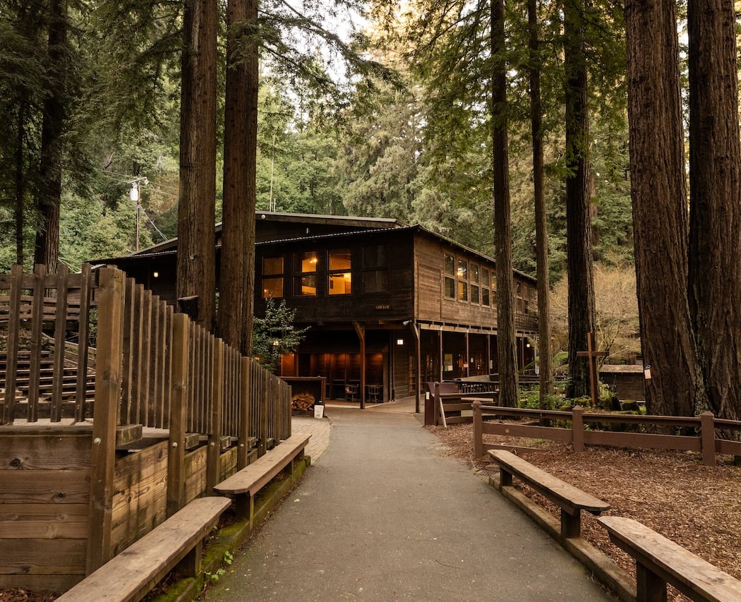 Christmas in the Redwoods 2