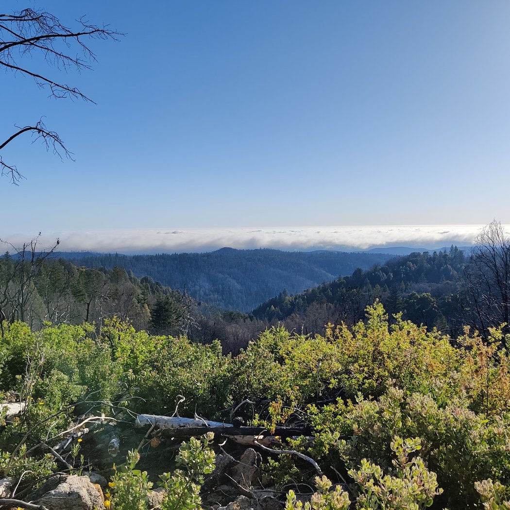 San Vicente Redwoods Trailhead 2