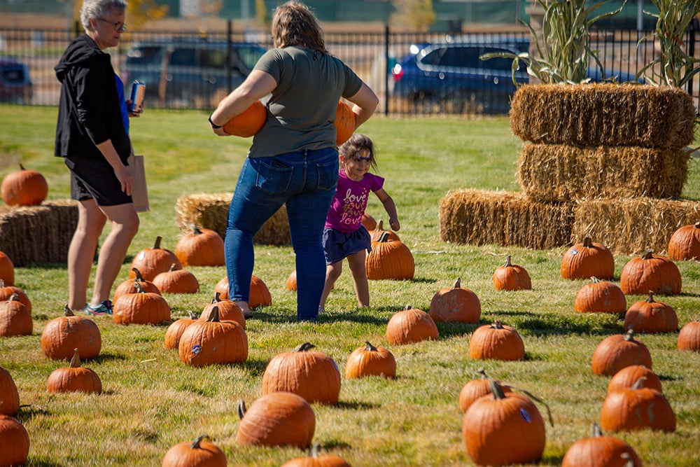 Aurora Fall Festival 3