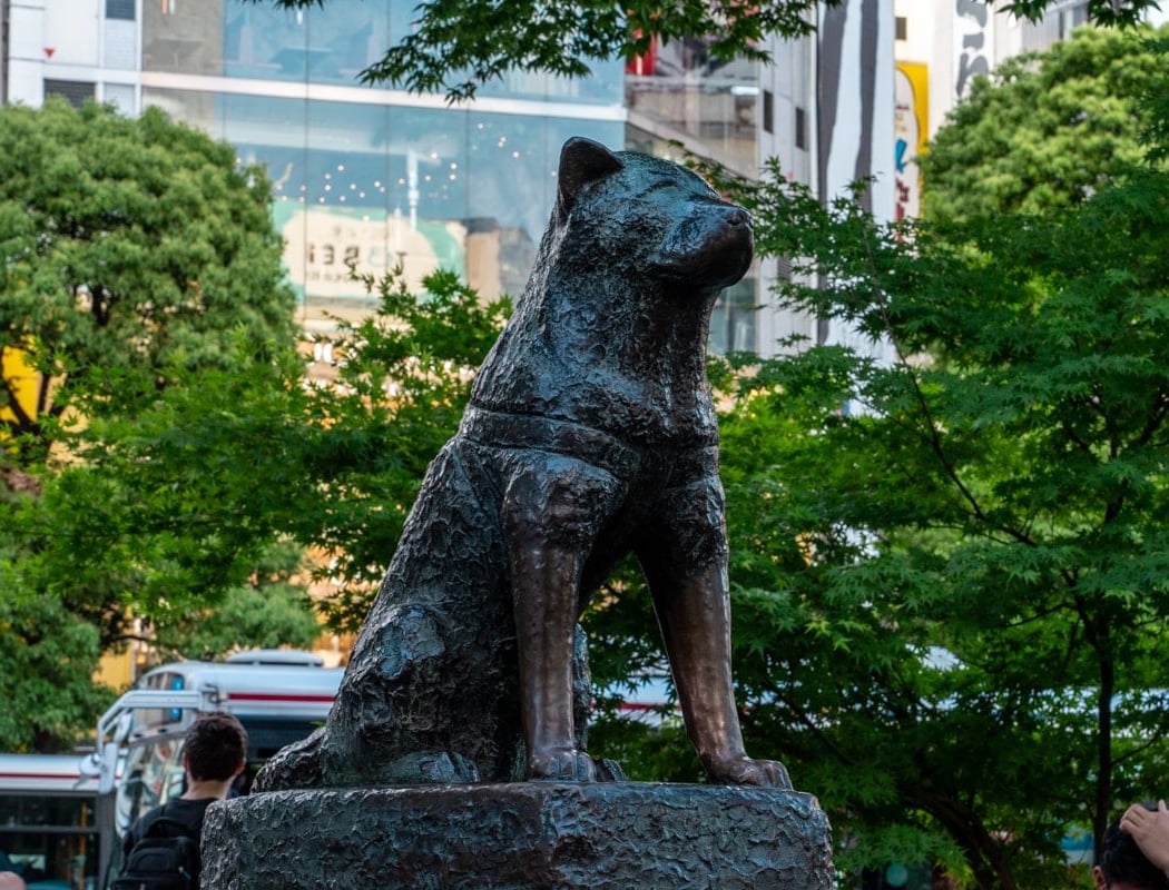 Shibuya Crossing 2
