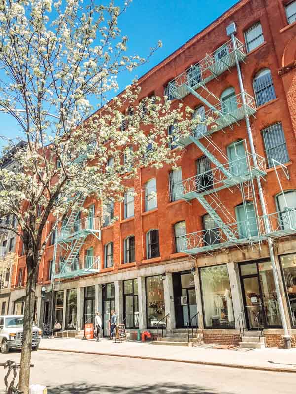 Nolita 2