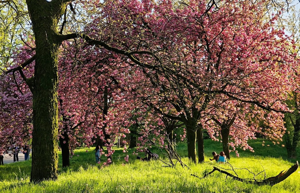 Parco Lambro 1