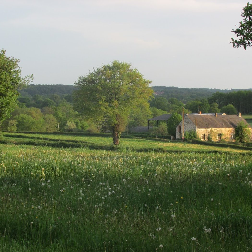 The Field Retreat 2