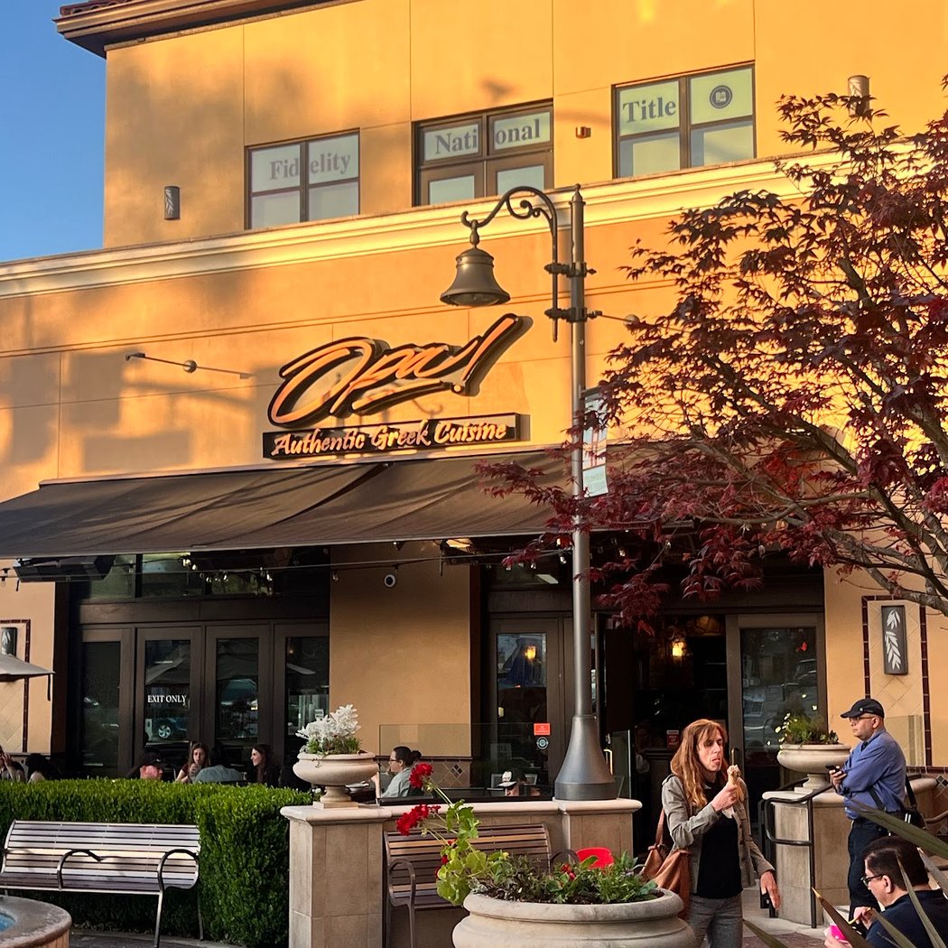 Opa! Willow Glen 2