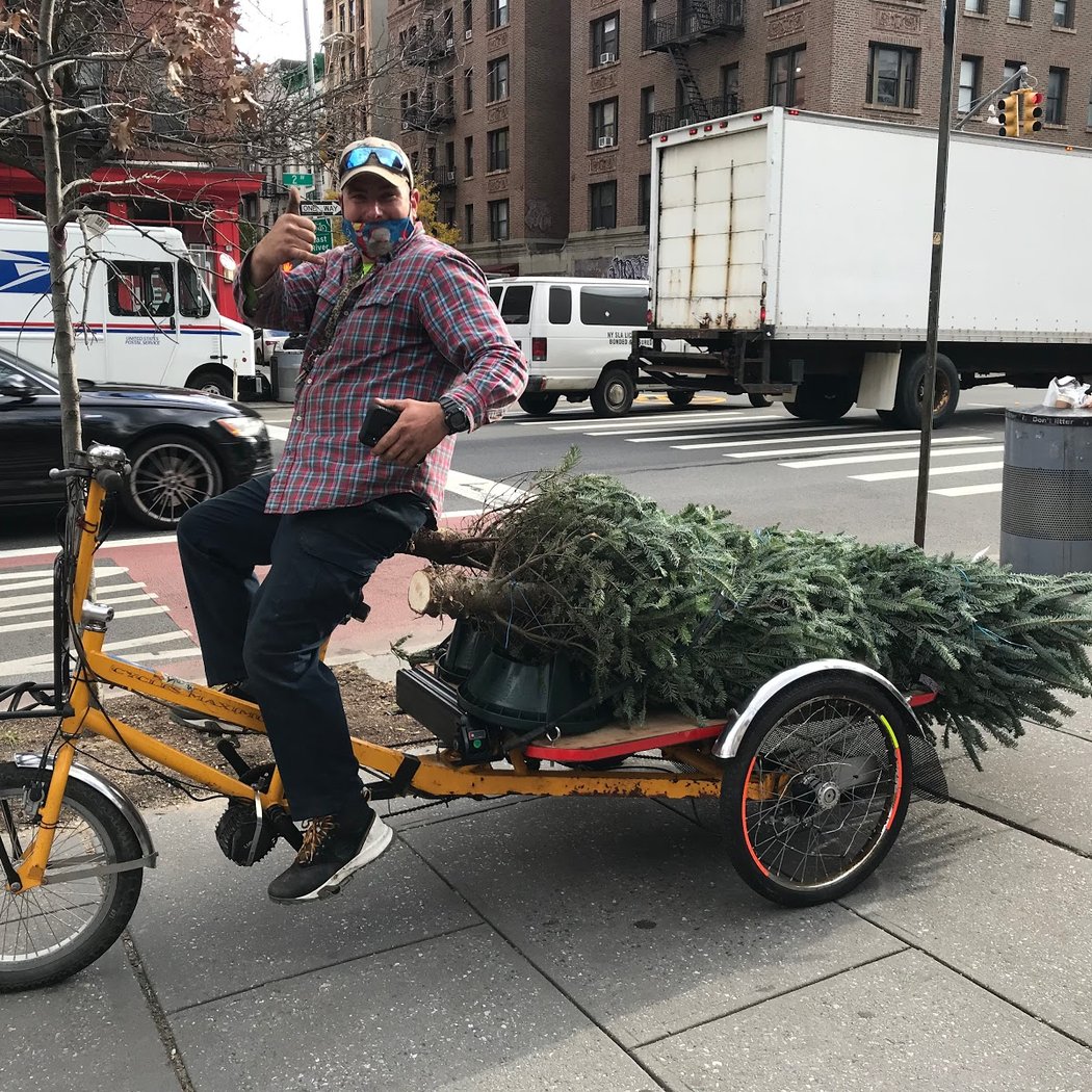 Tree Riders NYC 1