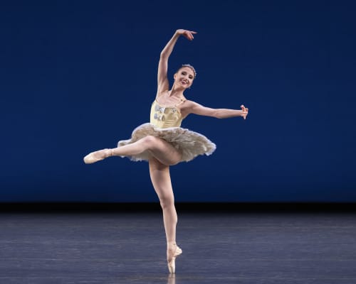 Eclectic NYCB II 1