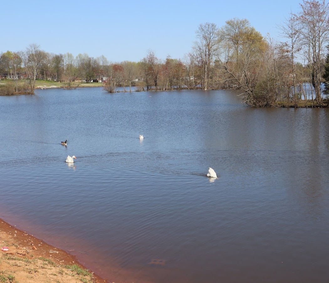 Basil Griffin Park 2