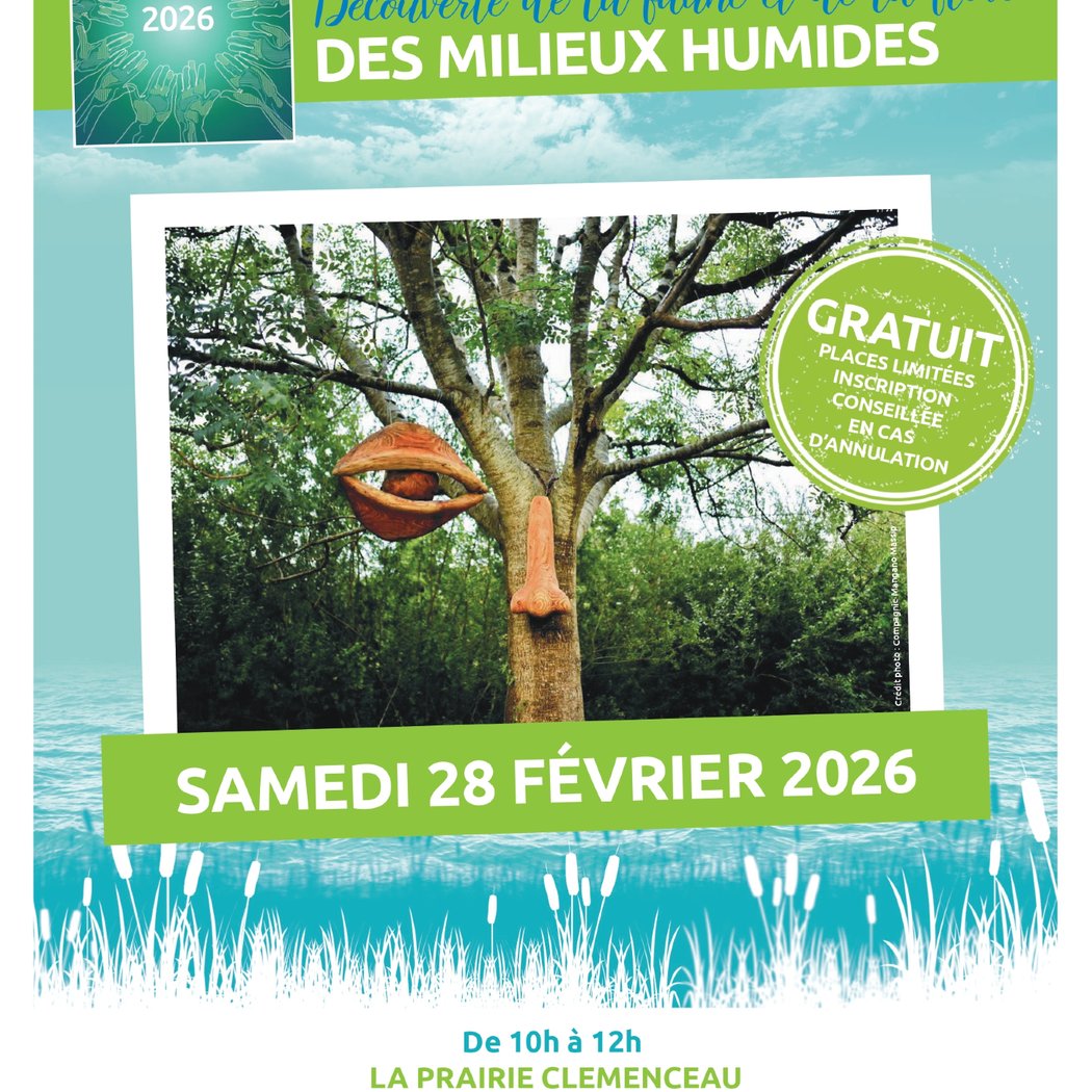 Sortie nature "découverte de la faune et de la flore des milieux humides" 1