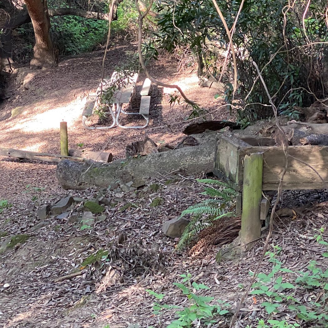 Ward Creek Trail Head 3