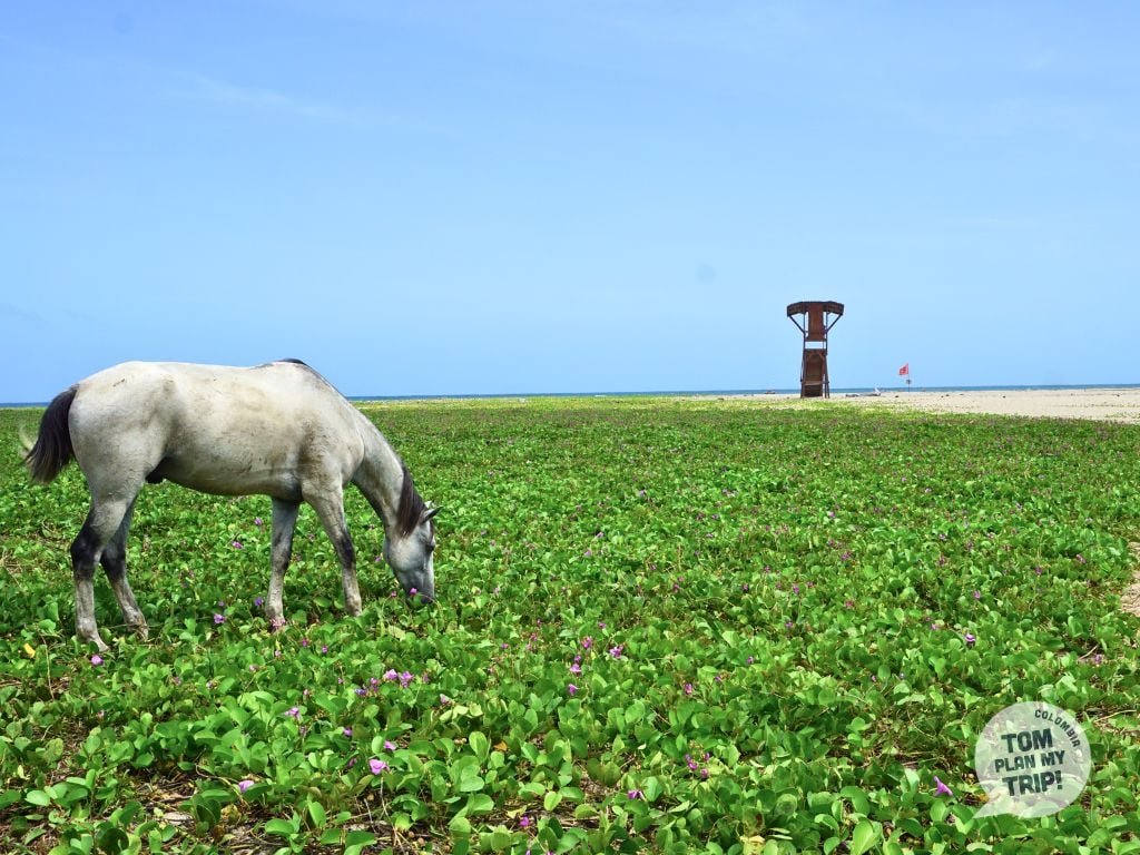 Parque Nacional Natural Tayrona 2
