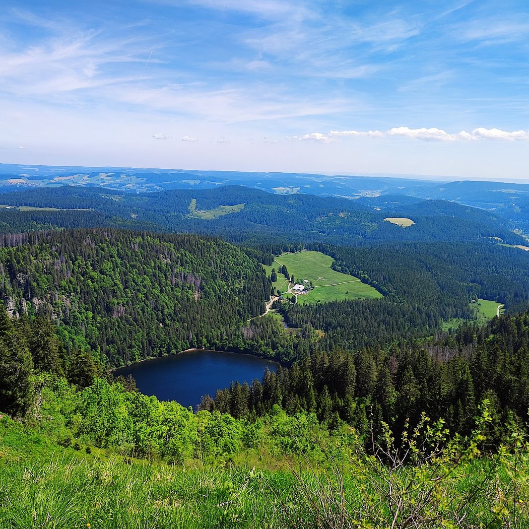 Black Forest 1