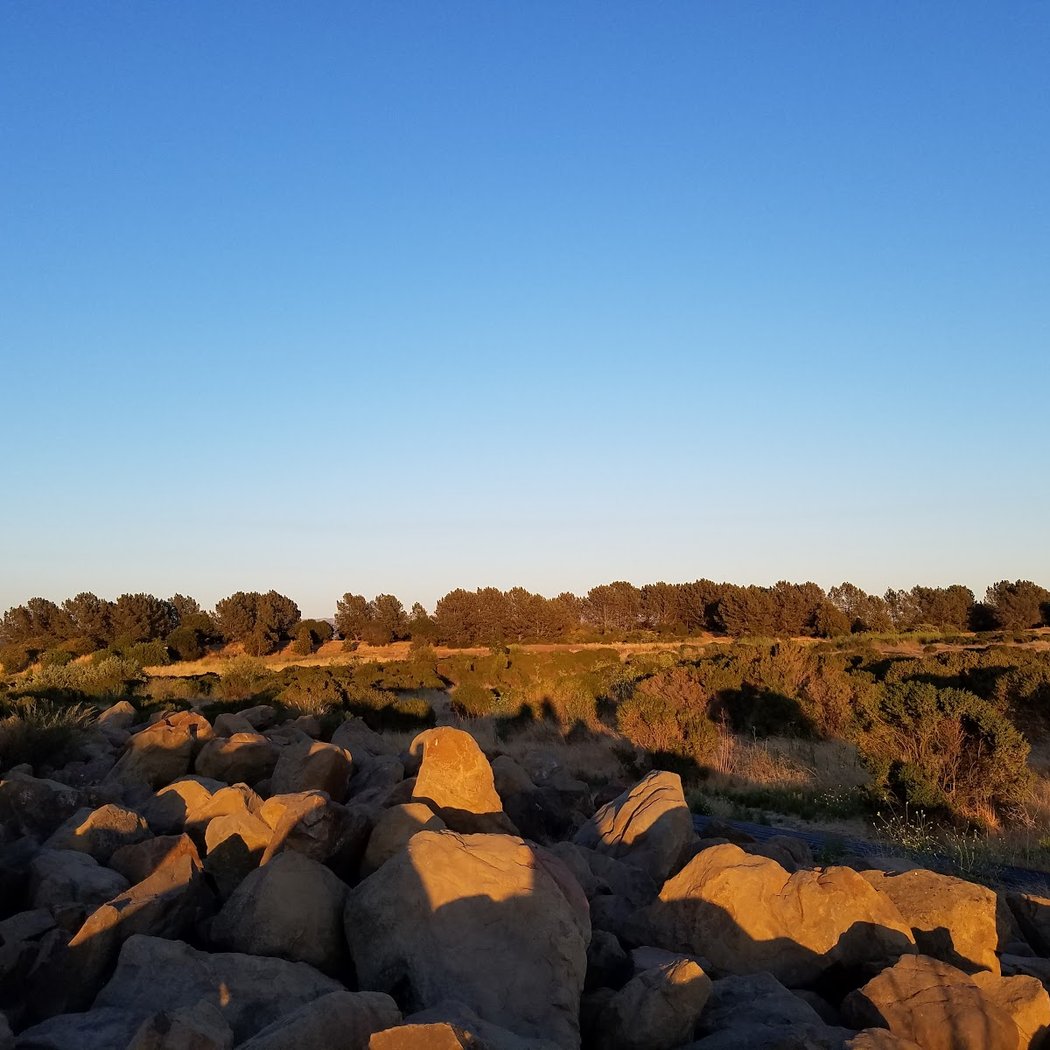 Oyster Bay Regional Shoreline 3