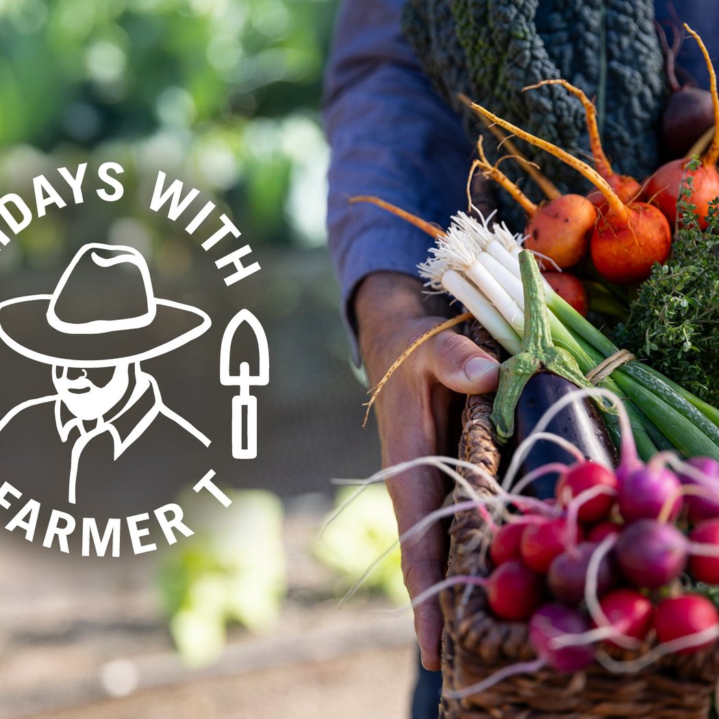 Behind-the-Scenes Garden Tour with Tucker 'Farmer T' Taylor 1