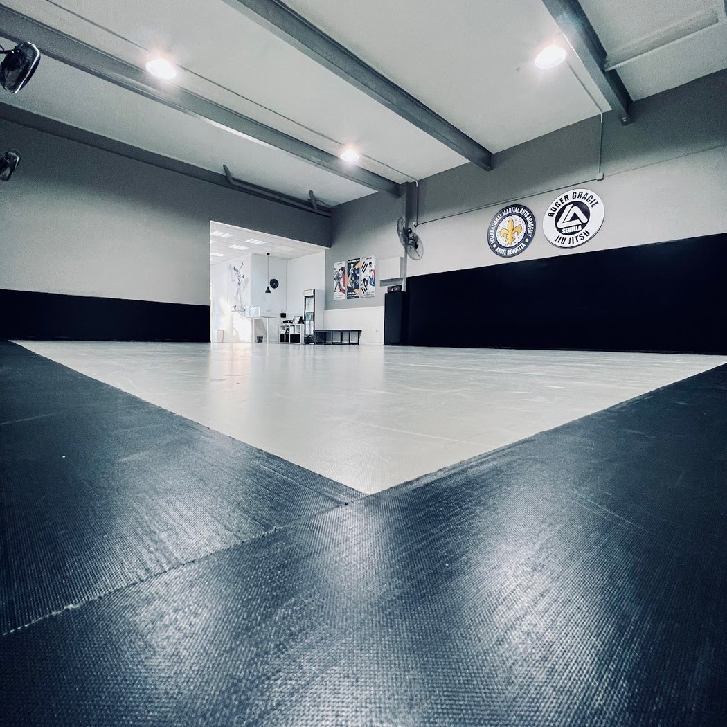 International Martial Arts Academy 3