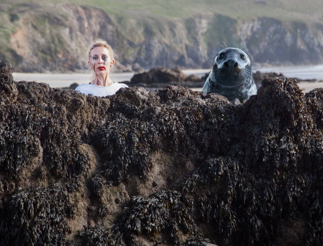 Big Seal 1