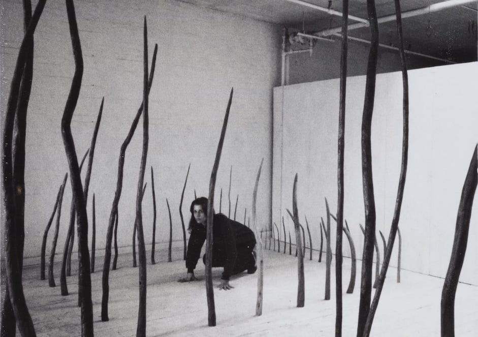 Rosemarie Castoro-Mark di Suvero : l’Amérique des années 1967-77 1