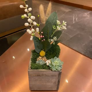 Succulent Treasure Box Workshop 3