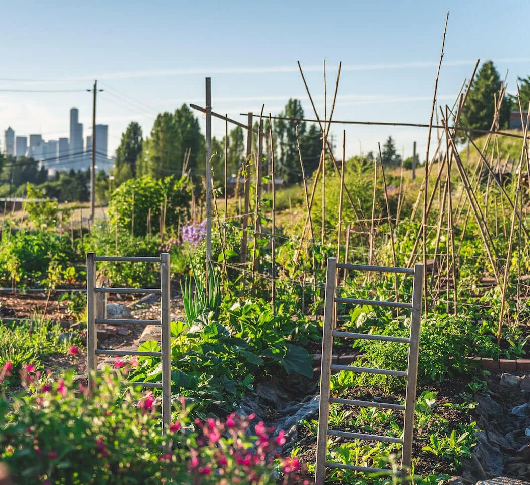 Beacon Food Forest 1