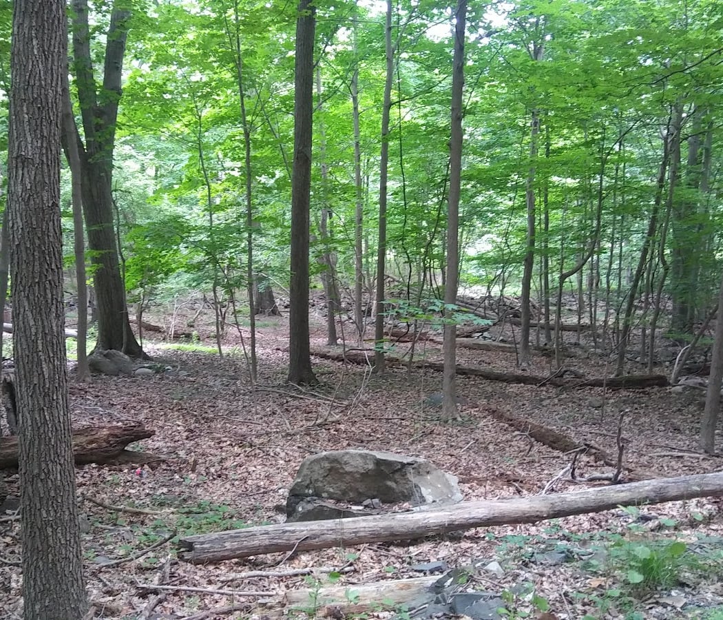 Buttermilk Falls County Park 2