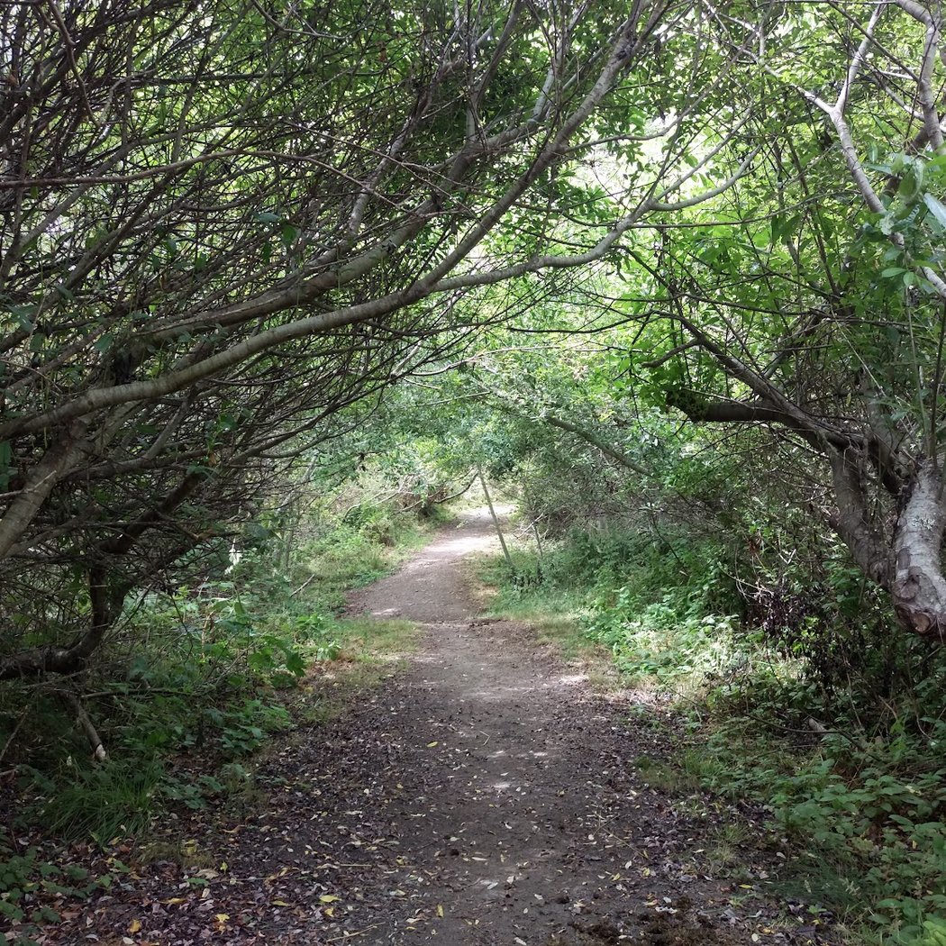 Muddy Hollow Trail 3