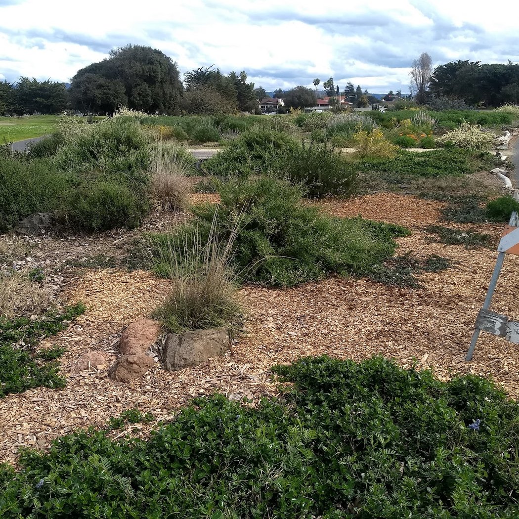 Habitat Garden 3