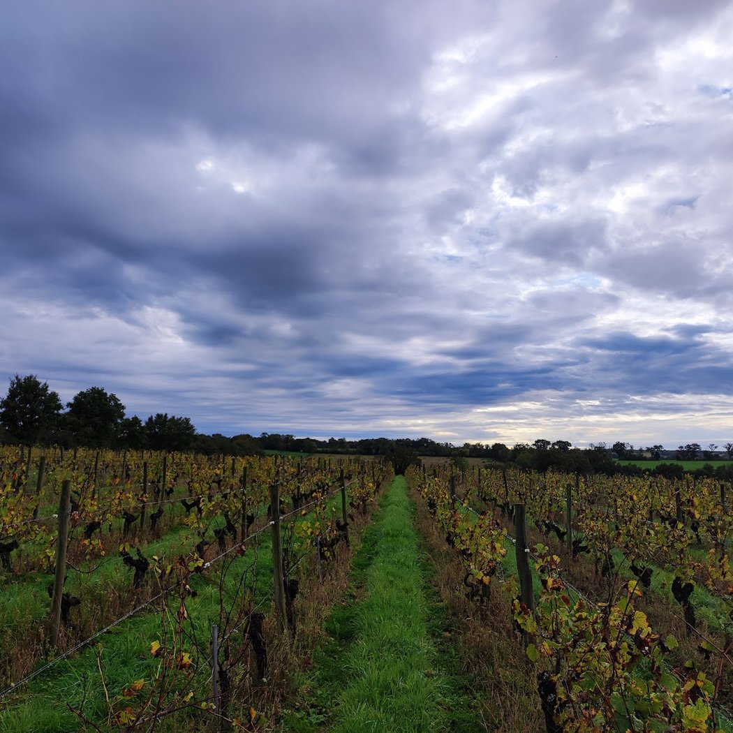 DOMAINE LA GUILLAUMERIE 2