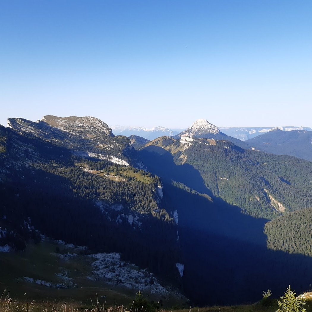 Chartreuse Mountains 2