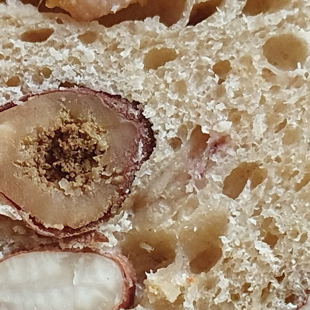 Pane Vivo - Bac 3
