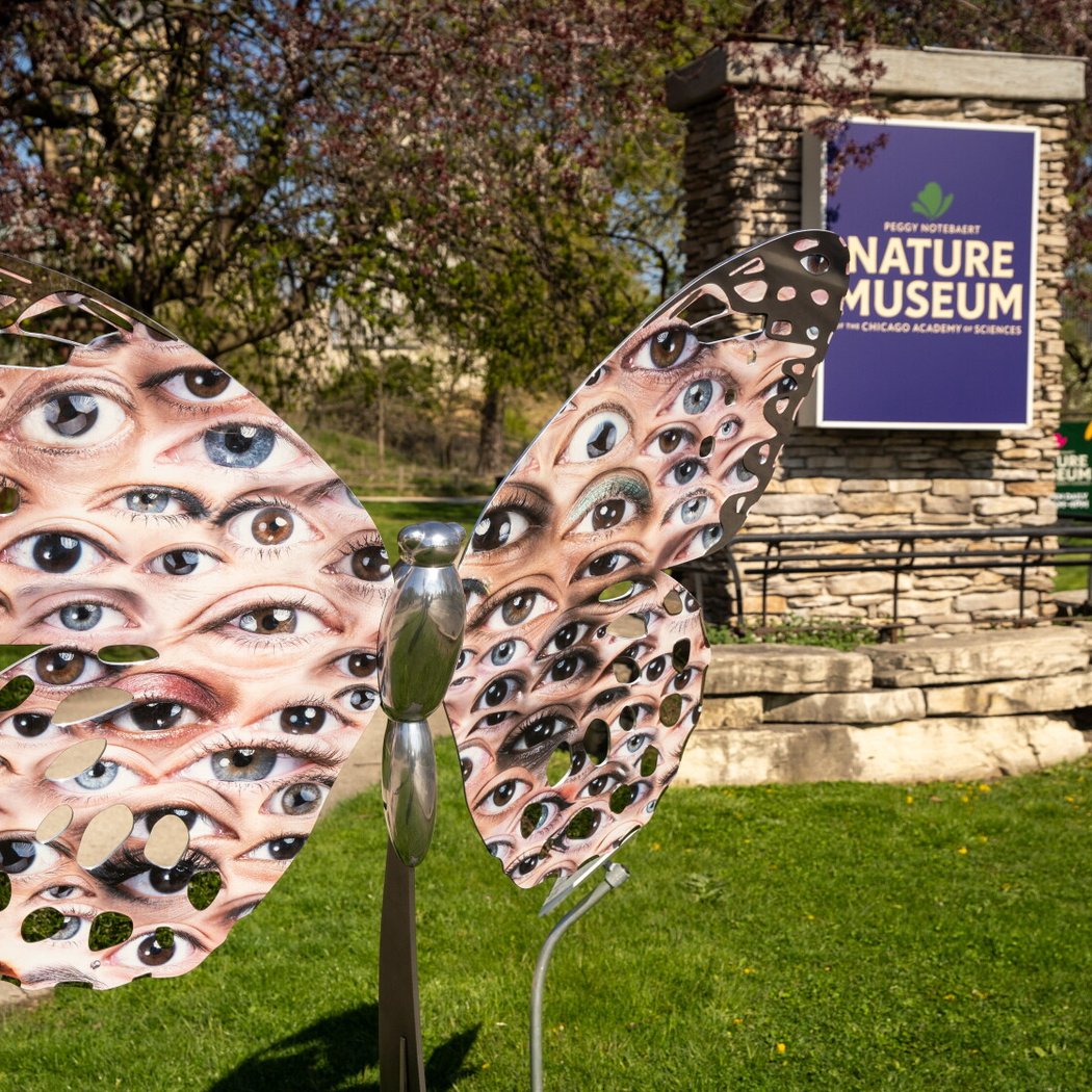 Peggy Notebaert Nature Museum Free Admission Days