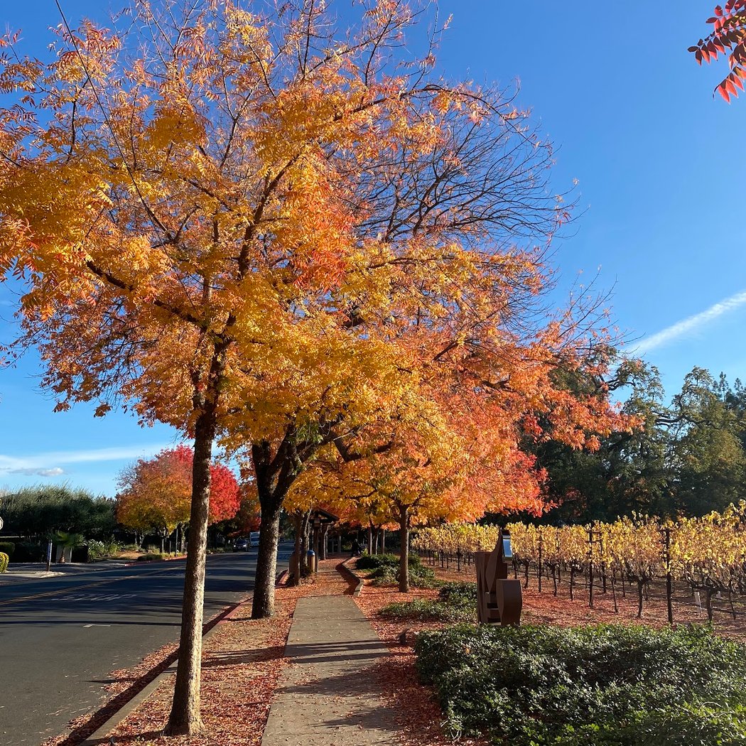 Yountville Welcome Center 3