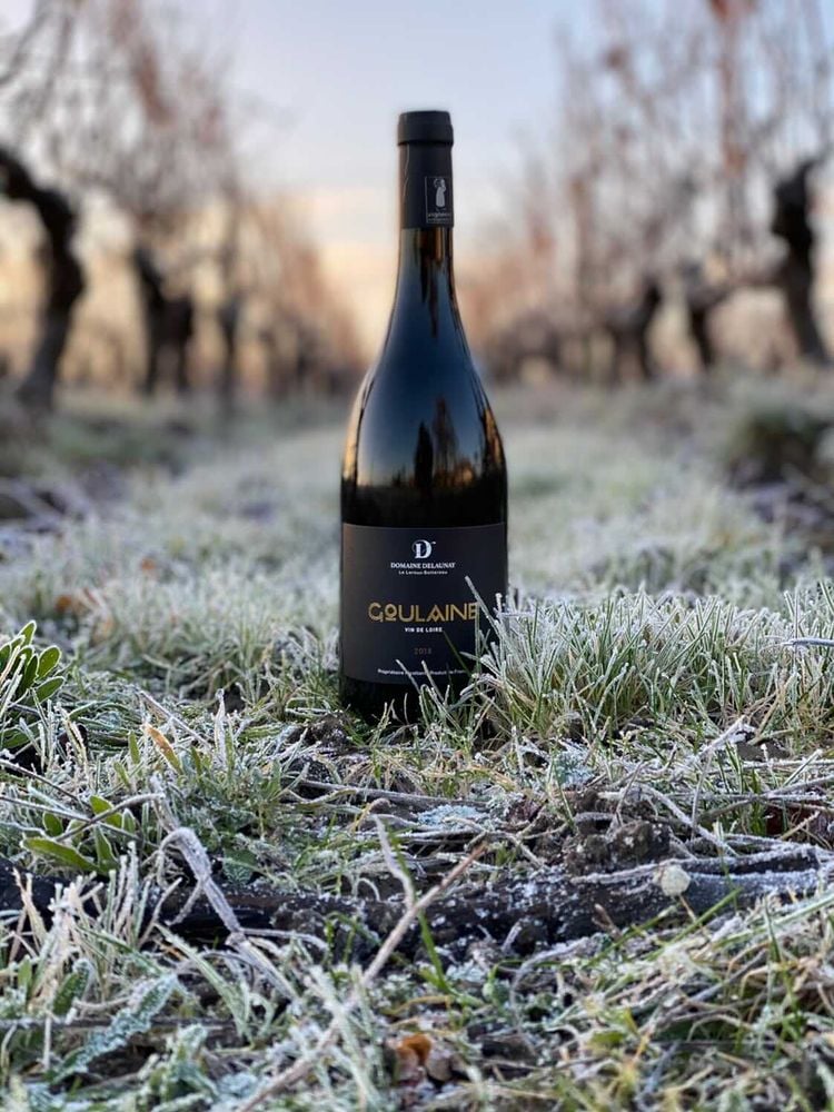 Domaine Delaunay 3