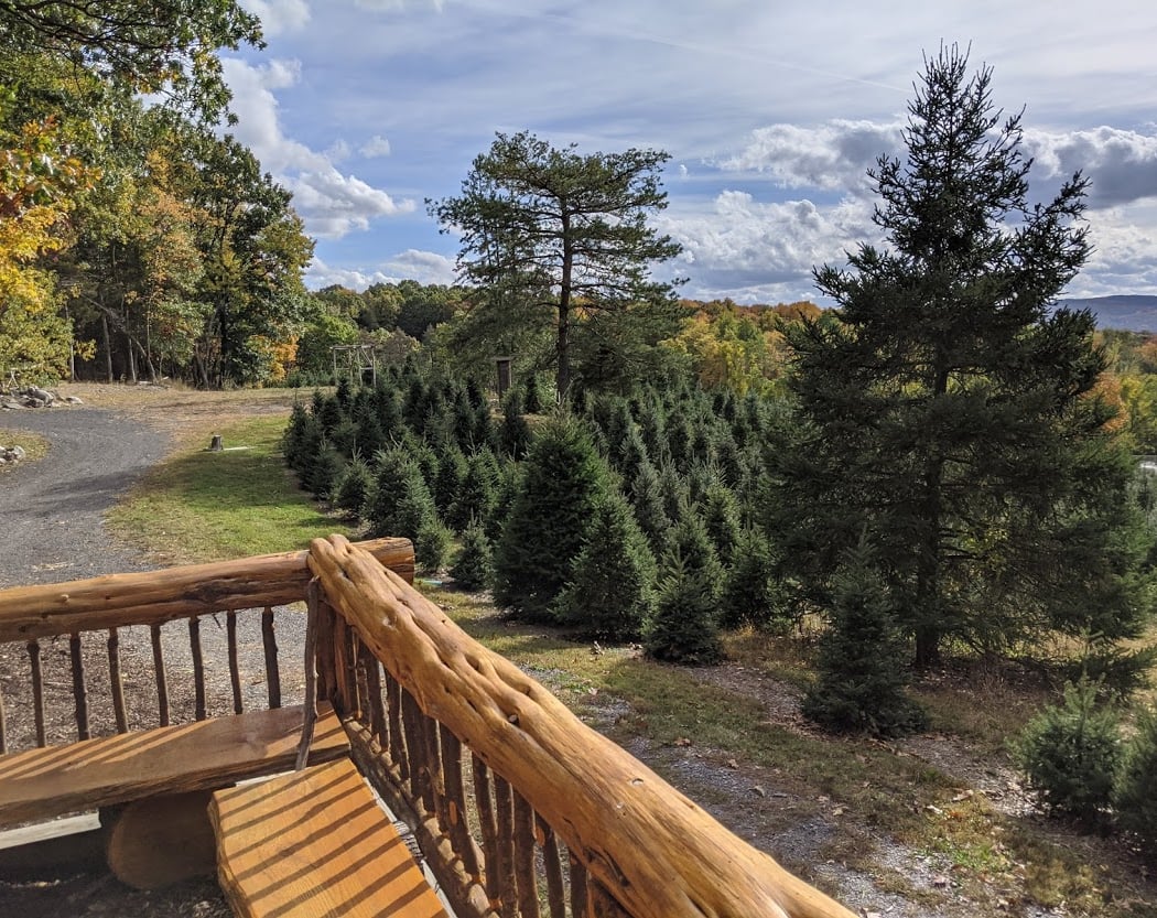 Emmerich Tree Farm 2