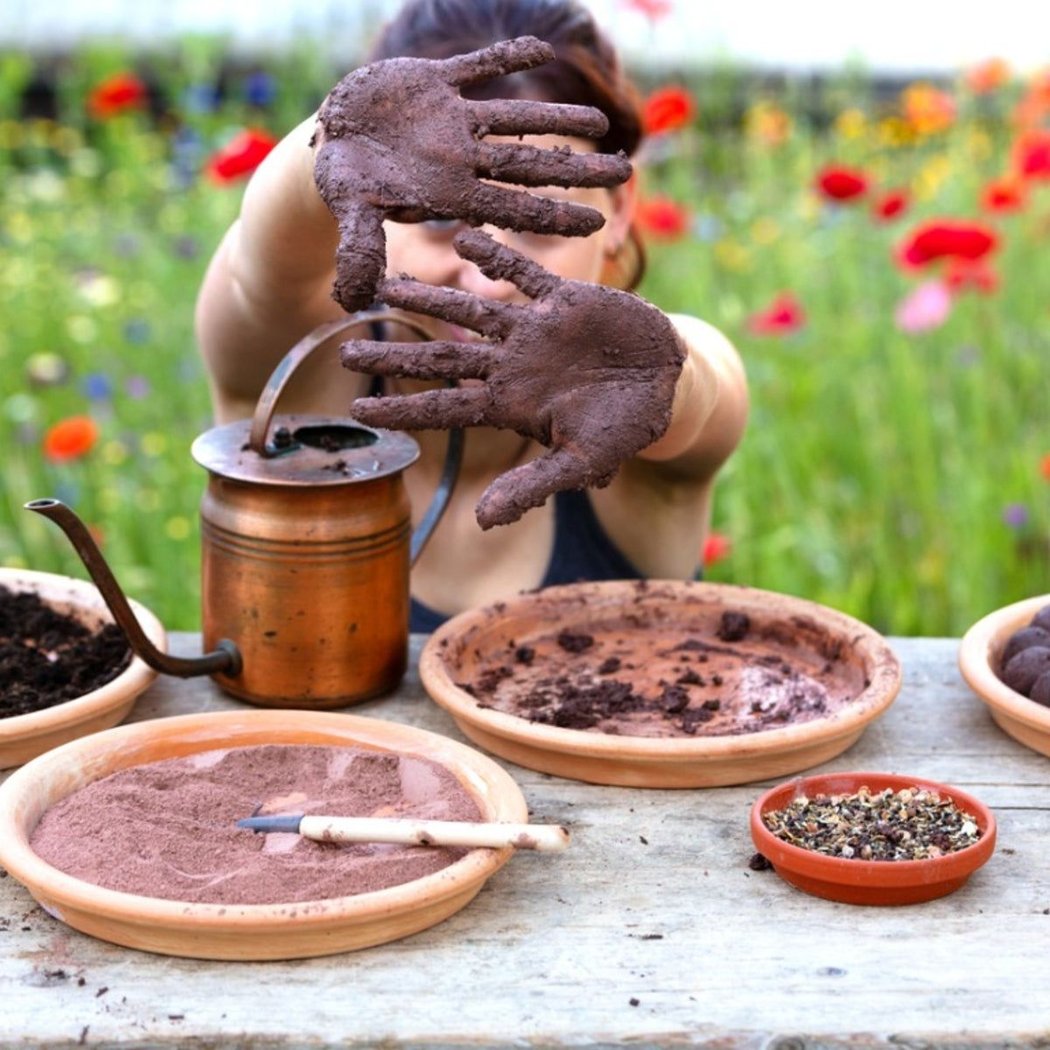 Discovery Time: Playful Plants 1