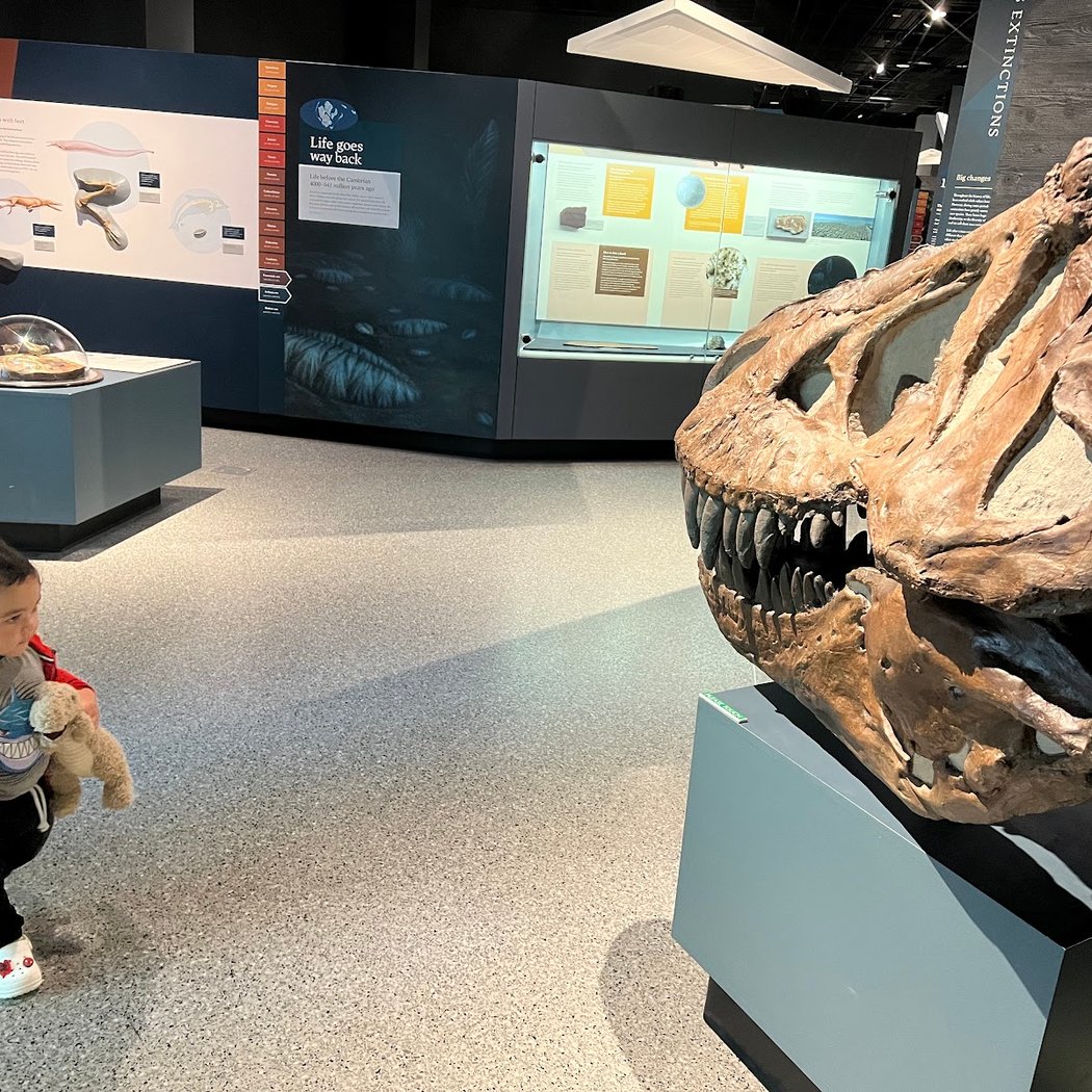 Scientist Spotlight: MLK Jr. Celebration 1