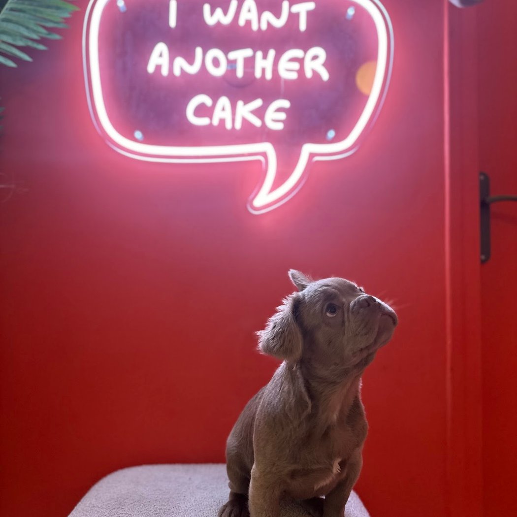 CASA DEL DOGGO 1