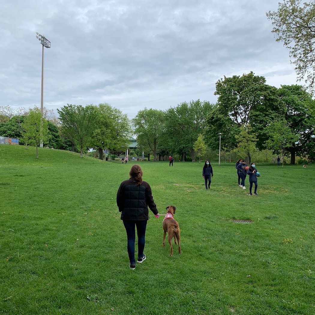 Earlscourt Park Dogs Off-Leash Area 3