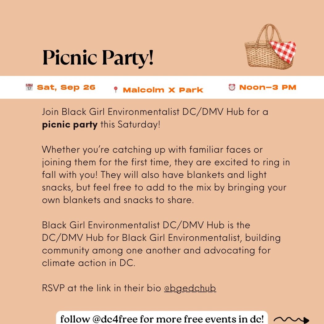 Picnic Party! 1