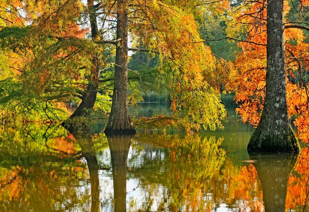 Parc du château de Cheverny 2