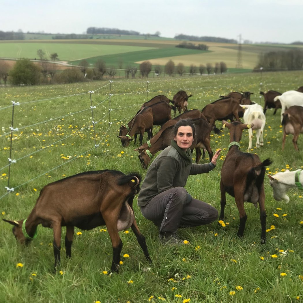 La Ferme des Damoiselles (Mademoiselle Chèvre) 2