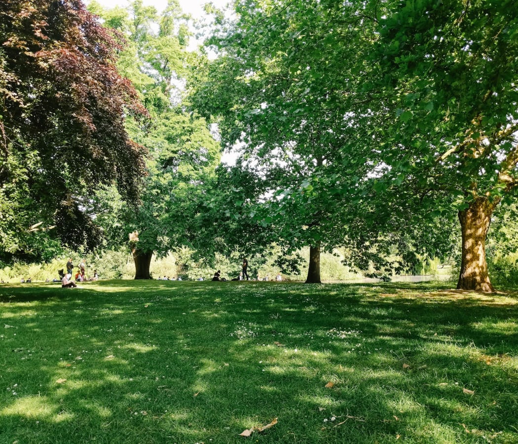 Hyde Park 5