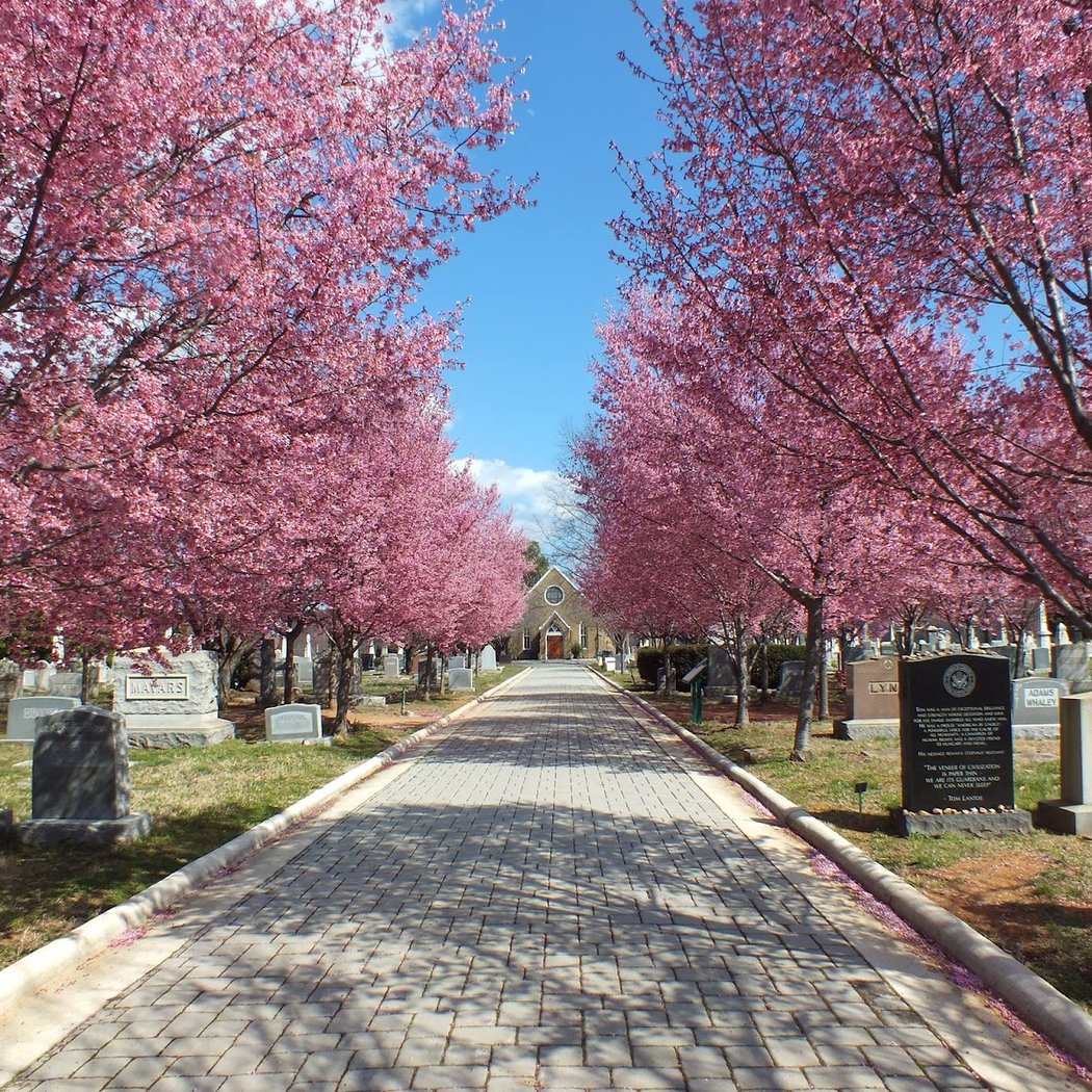 Congressional Cemetery Introductory Tour 1