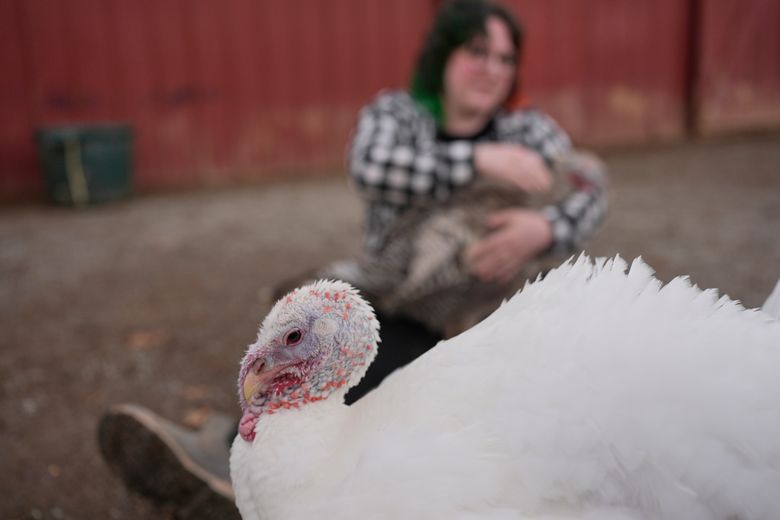 Visit The Gentle Barn 3