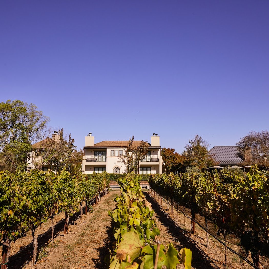 Yountville Stroll 1
