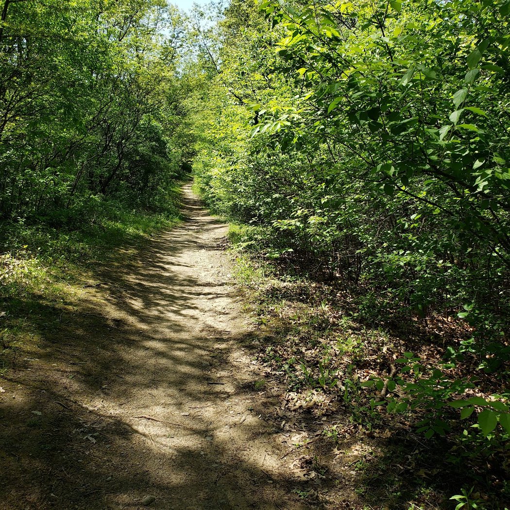Kuebler Langford Nature Area 3