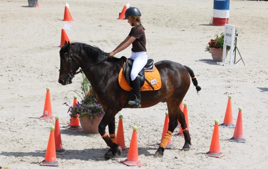 Concours equitation 5
