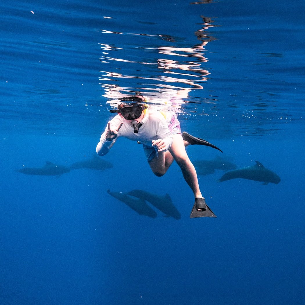 Wild Side Specialty Tours - Small Group Whale Watching, Dolphins Oahu Boat Tours 1