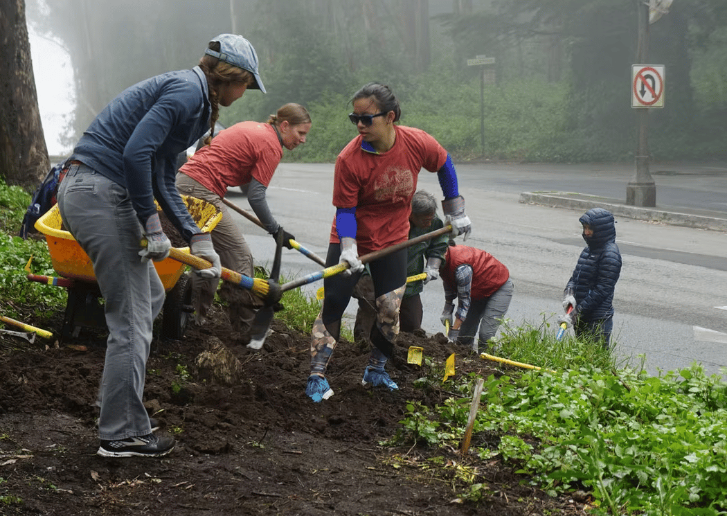 Sutro Stewards Volunteer Day 3