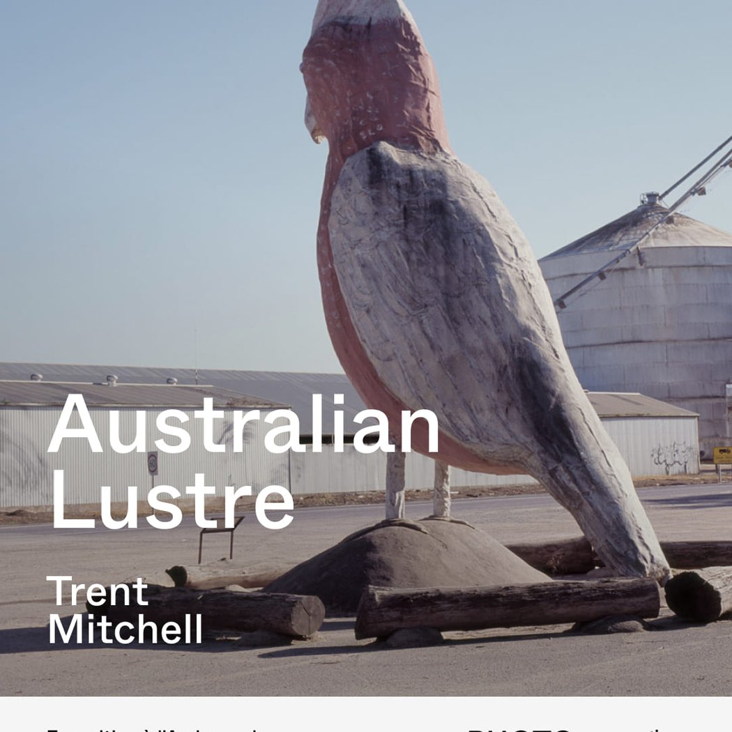 Australian Lustre, Photographies de Trent Mitchell 1