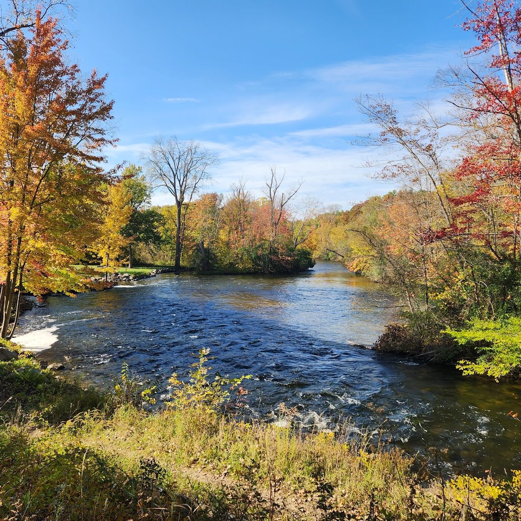 Nature Journaling Workshop 3