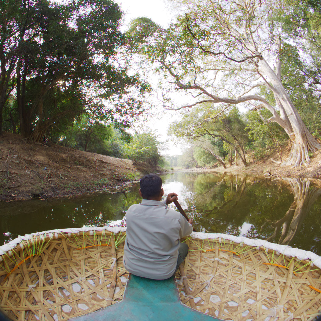 River Realms: The Heartbeat of Bengaluru 1